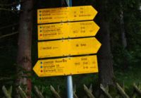 2014-08-10_Ankelalm_(453)b.JPG