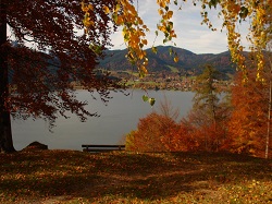2013-10-25_Baumgartenscheidt (1)b.JPG