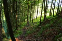 2014-08-17_Brecherspitz_(113).JPG