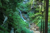 2014-08-17_Brecherspitz_(114).JPG