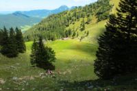 2014-08-17_Brecherspitz_(151).JPG