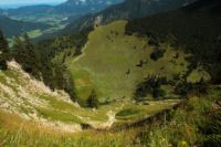 2014-08-17_Brecherspitz_(190).JPG