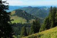2014-08-17_Brecherspitz_(192).JPG