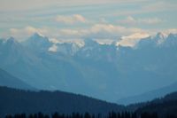 2014-08-17_Brecherspitz_(413)b.JPG