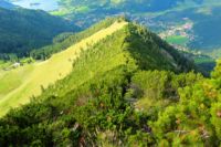 2014-08-17_Brecherspitz_(474)b.JPG