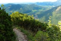 2014-08-17_Brecherspitz_(488)b.JPG