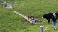 2014-08-17_Brecherspitz_(533)b.JPG