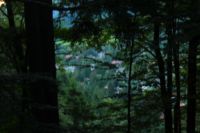 2014-08-17_Brecherspitz_(538).JPG