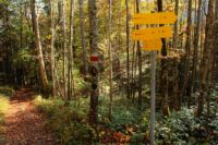 K1024_2014-10-14_Hirschberg_(137).JPG