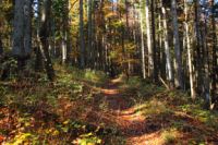 K1024_2014-10-14_Hirschberg_(194).JPG