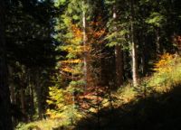 K1024_2014-10-14_Hirschberg_(208)b.JPG