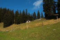 K1024_2014-10-14_Hirschberg_(215).JPG