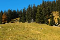 K1024_2014-10-14_Hirschberg_(263)b.JPG