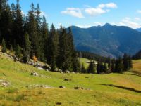 K1024_2014-10-14_Hirschberg_(280)b.JPG