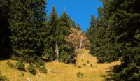 K1024_2014-10-14_Hirschberg_(289)b.JPG