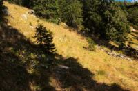 K1024_2014-10-14_Hirschberg_(303).JPG