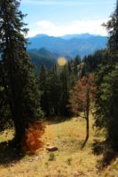 K1024_2014-10-14_Hirschberg_(308).JPG