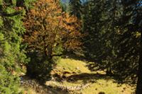 K1024_2014-10-14_Hirschberg_(310).JPG
