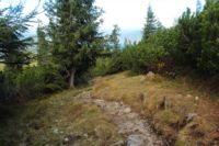 K1024_2014-10-14_Hirschberg_(463).JPG