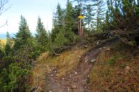 K1024_2014-10-14_Hirschberg_(464).JPG
