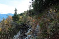 K1024_2014-10-14_Hirschberg_(487).JPG