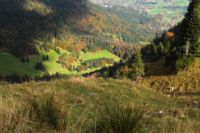 K1024_2014-10-14_Hirschberg_(502).JPG