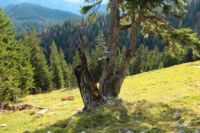 K1024_2014-10-14_Hirschberg_(534).JPG