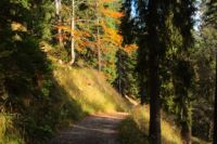 K1024_2014-10-14_Hirschberg_(553).JPG