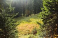 K1024_2014-10-14_Hirschberg_(565).JPG