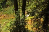 K1024_2014-10-14_Hirschberg_(567).JPG