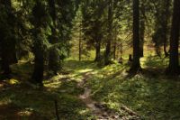 K1024_2014-10-14_Hirschberg_(588).JPG