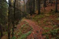 K1024_2014-10-14_Hirschberg_(597).JPG