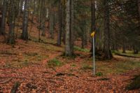 K1024_2014-10-14_Hirschberg_(606).JPG