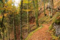 K1024_2014-10-14_Hirschberg_(694).JPG