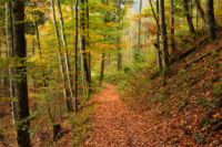 K1024_2014-10-14_Hirschberg_(696).JPG