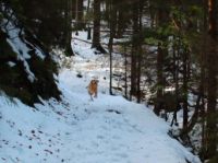 2014-10-25_Hirschberg_(115)b.JPG