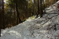 2014-10-25_Hirschberg_(121).JPG