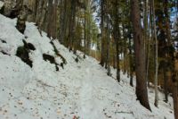 2014-10-25_Hirschberg_(127).JPG