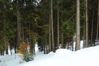2014-10-25_Hirschberg_(262).JPG