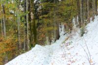 2014-10-25_Hirschberg_(286)b.JPG