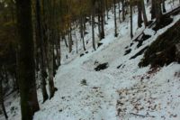 2014-10-25_Hirschberg_(293).JPG