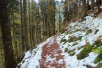 2014-10-25_Hirschberg_(301).JPG