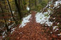2014-10-25_Hirschberg_(309)b.JPG