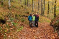 2014-10-25_Hirschberg_(318)b.JPG
