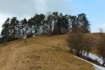 2015-03-11_Osterseen_(125).JPG
