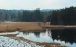 2015-03-11_Osterseen_(133)b.JPG