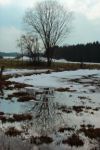 2015-03-11_Osterseen_(137).JPG