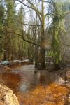 2015-03-11_Osterseen_(140).JPG