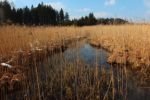 2015-03-11_Osterseen_(153).JPG