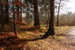 2015-03-11_Osterseen_(155).JPG